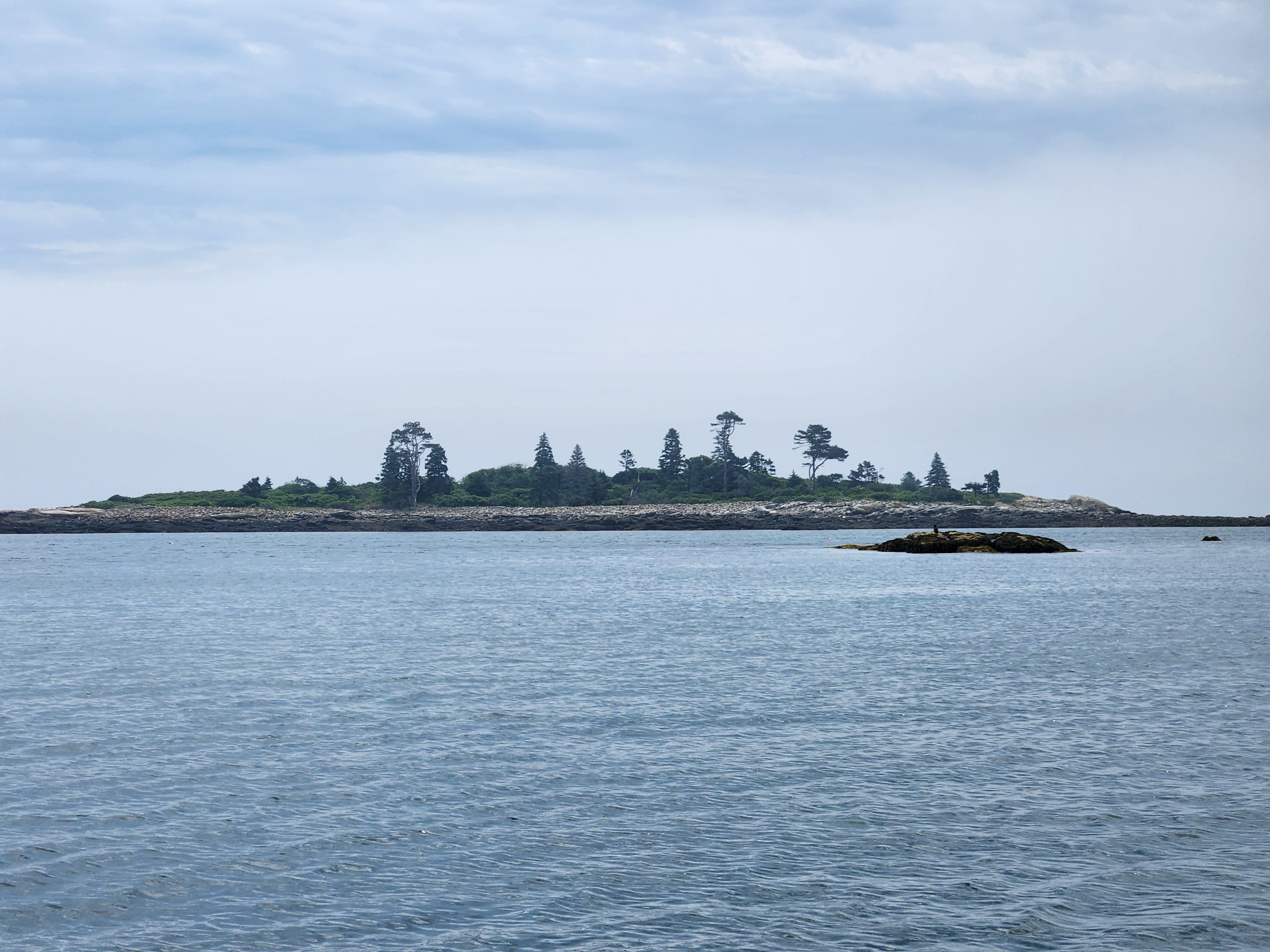 New England (Chapter 8)