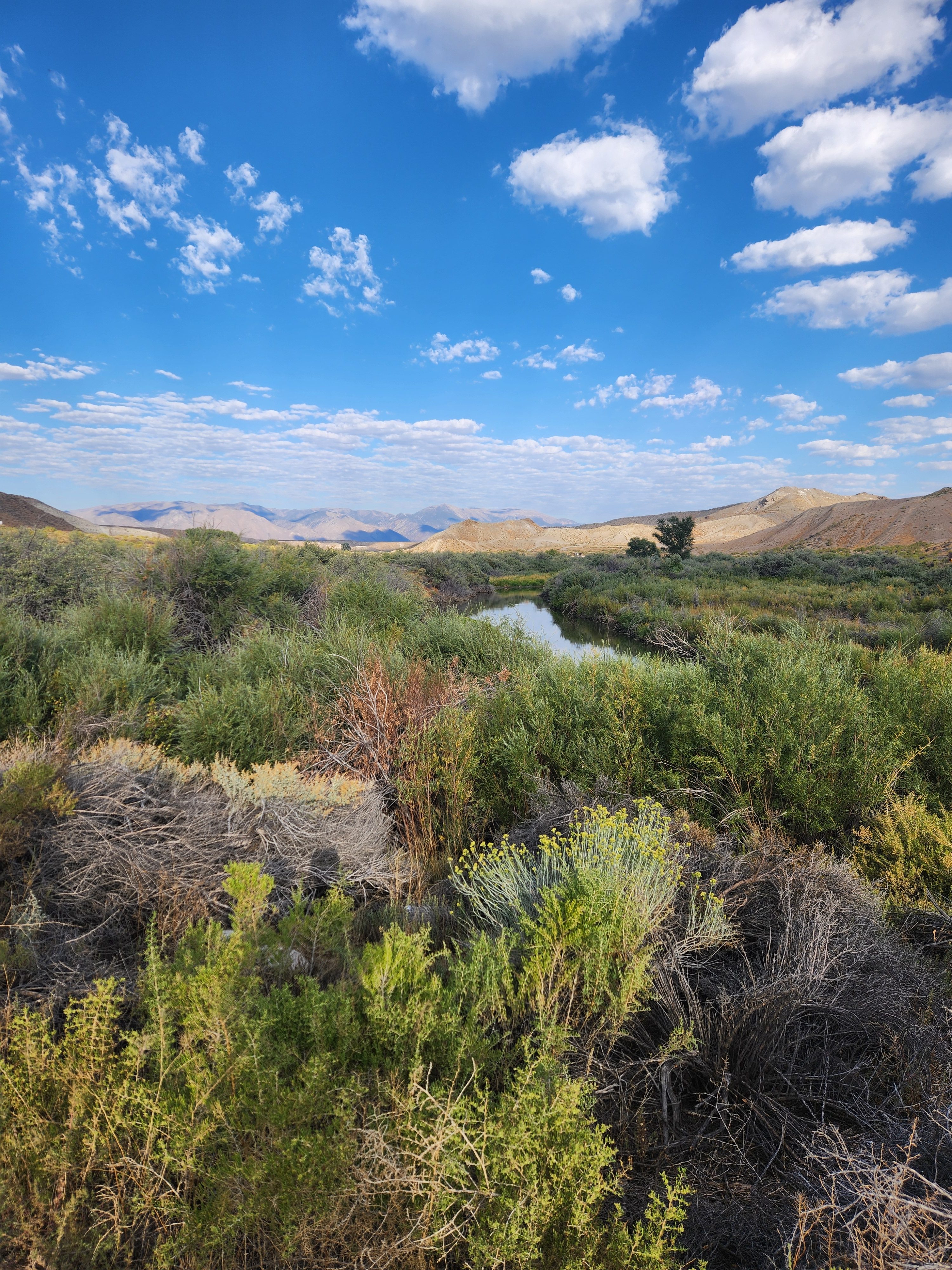 The Southwest (Chapter 1)